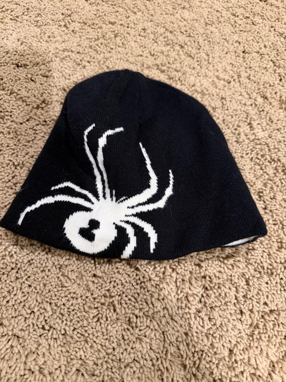 Spyder ski beanie